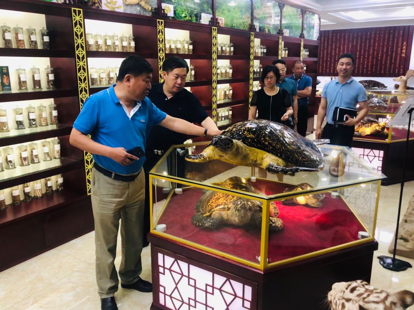 吉林省商务厅副厅长刘乃军带队考察吉林省北药药材加工有限公司