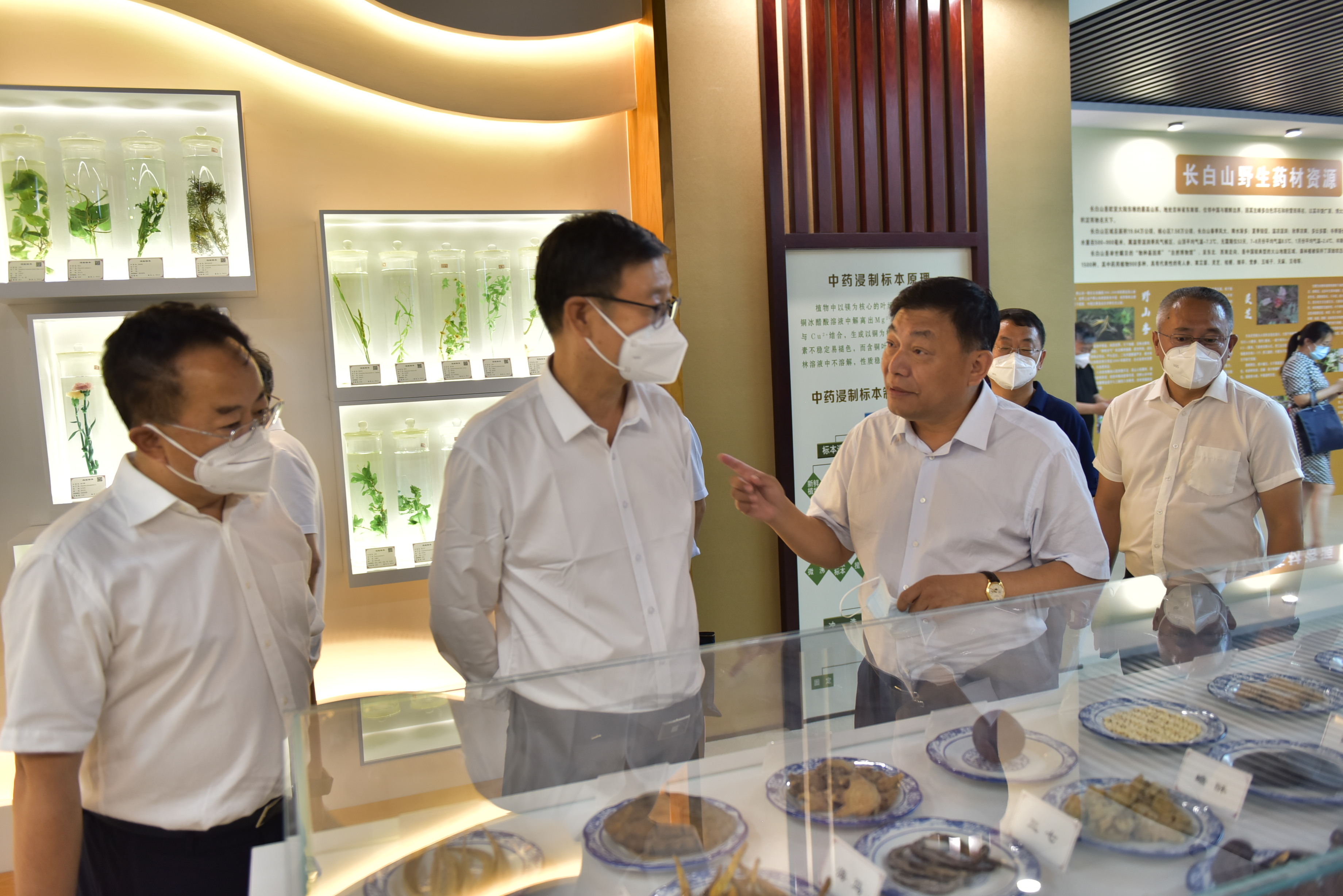 吉林省人大常委会中医药“一法一例”执法检查组来到吉林北药检查调研